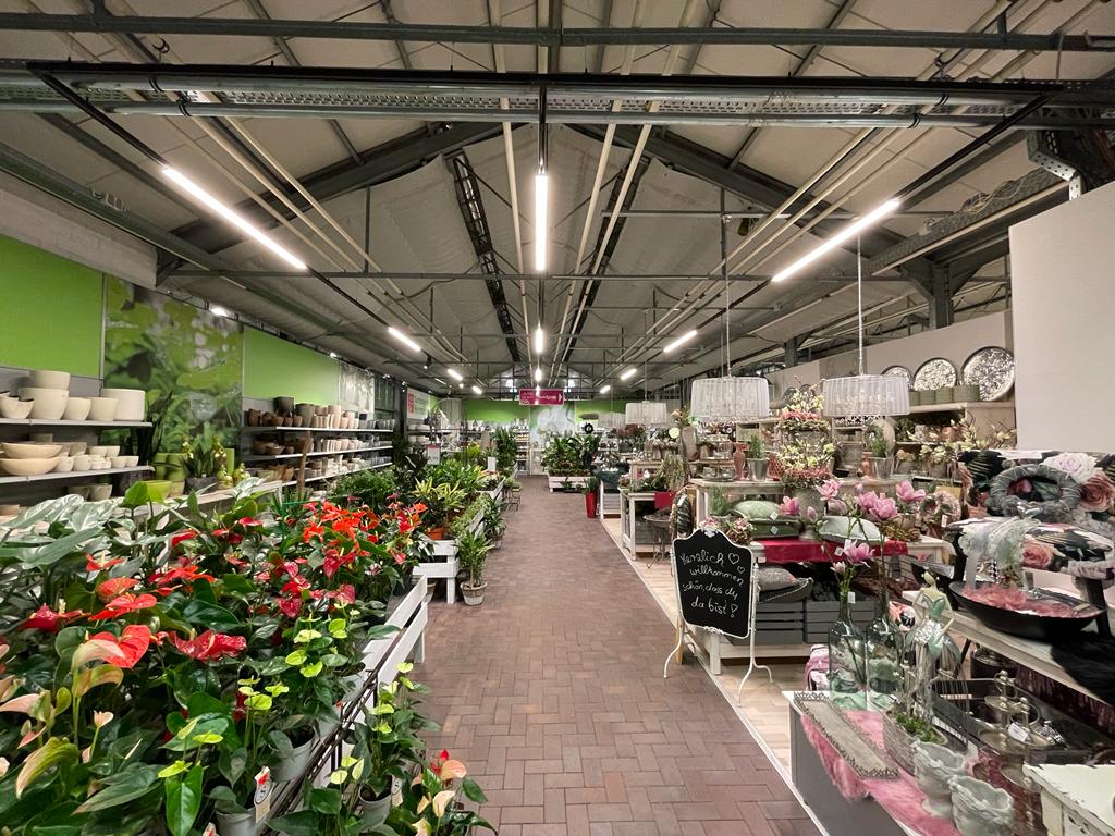 Hover image for Alicia-24V