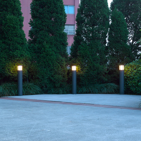 Hover image for Gordo