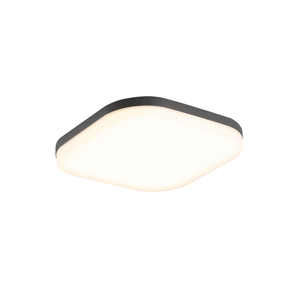 Hover image for Agua