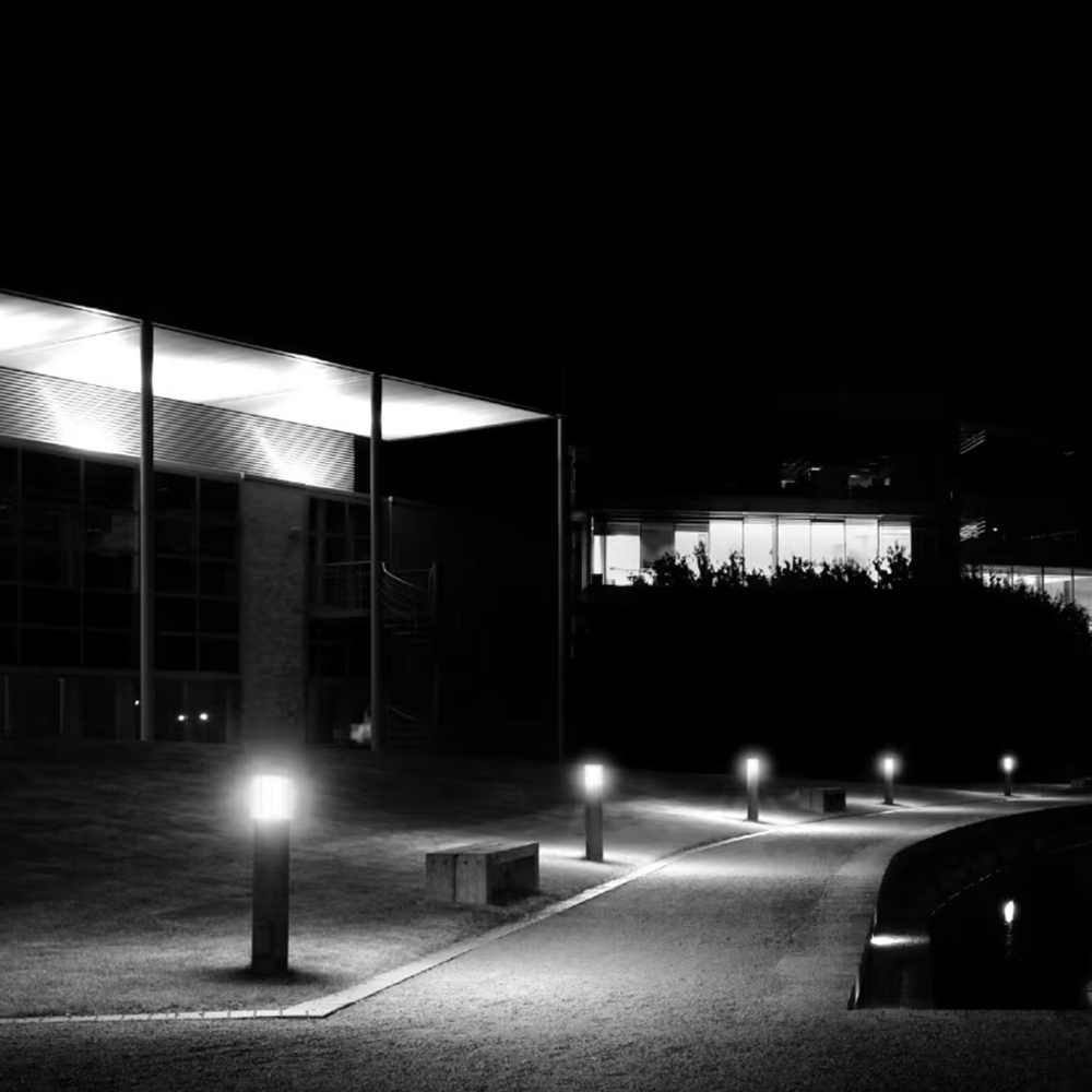 Hover image for Gordo