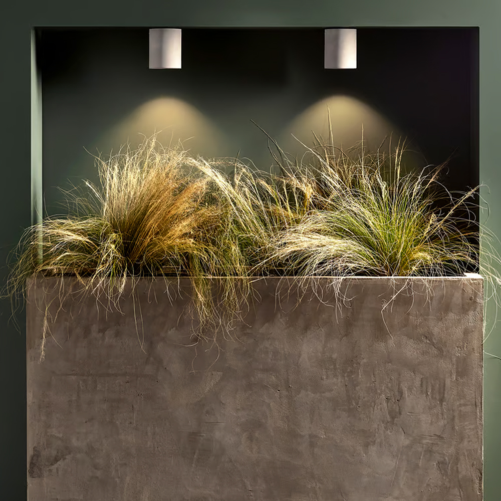 Hover image for Agua