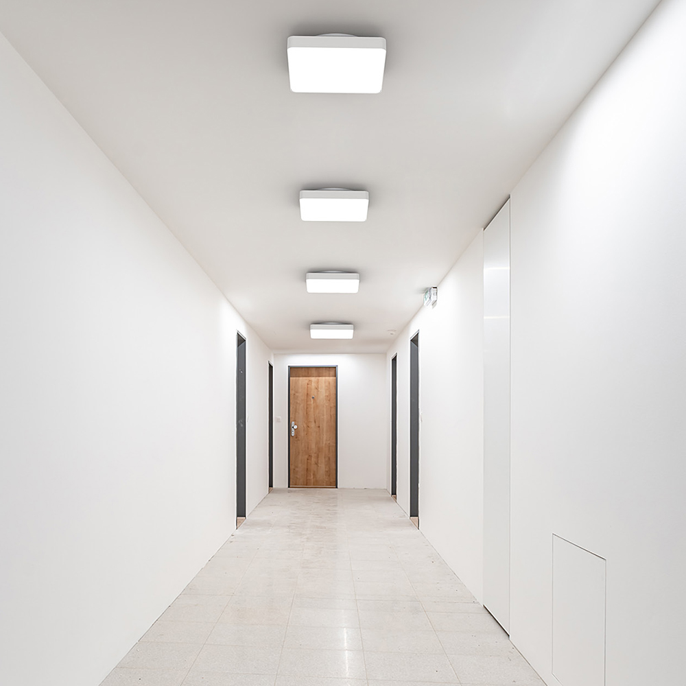 Hover image for Vasco